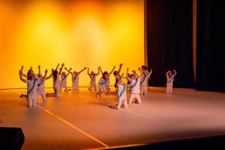 Območna revija plesnih skupin Finesa plesa 2024 (7)